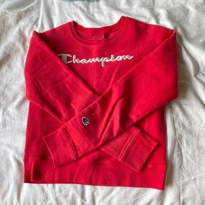 Champion sweater shirt